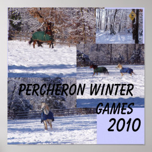 PERCHERON-VINTERLEKAR, 2013 POSTER