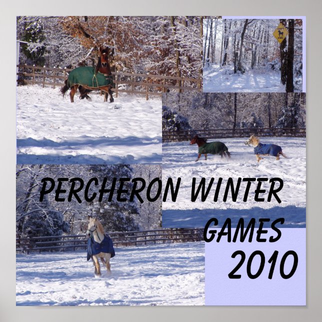 PERCHERON WINTER GAMES, 2013 POSTER (Framsidan)