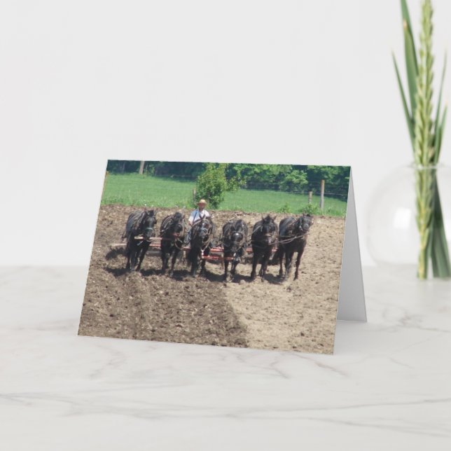 Percherons in Work Kort (Framsida)