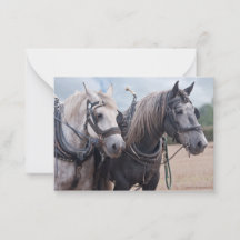 Percherons lag