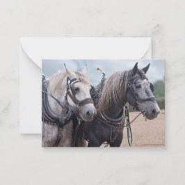 Percherons lag anteckningskort