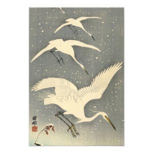 Perching Herons i Snö av Ohara Koson Fototryck