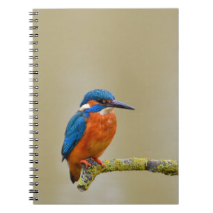 Perching Kingfisher Anteckningsbok