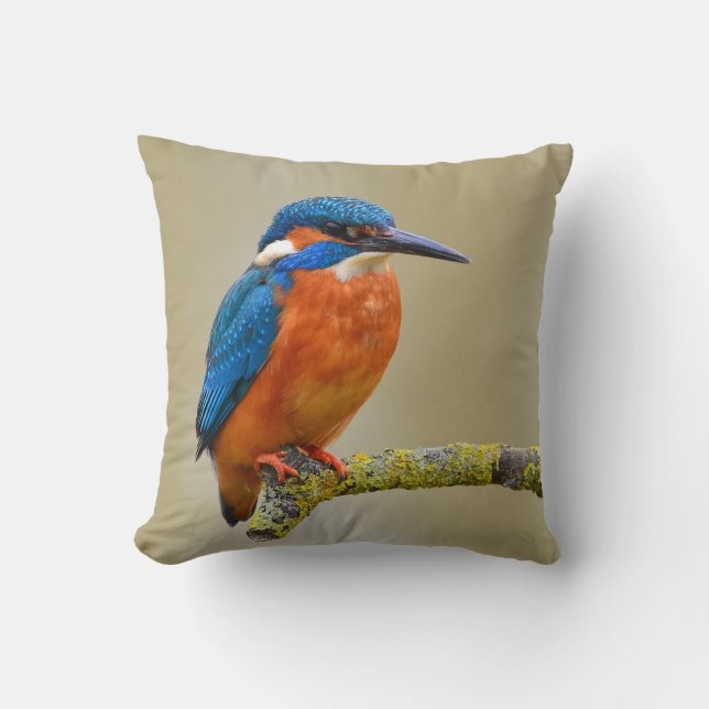 Perching Kingfisher Kudde (Framsida)