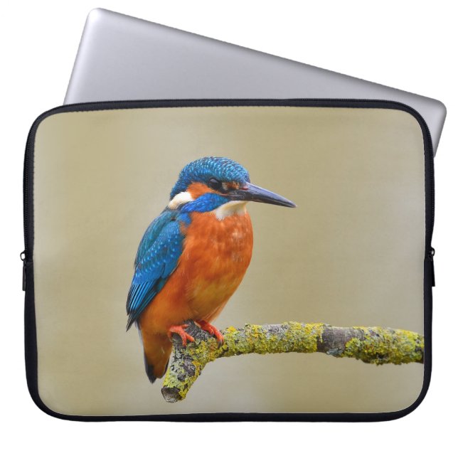 Perching Kingfisher Laptop Sleeve (Framsidan)