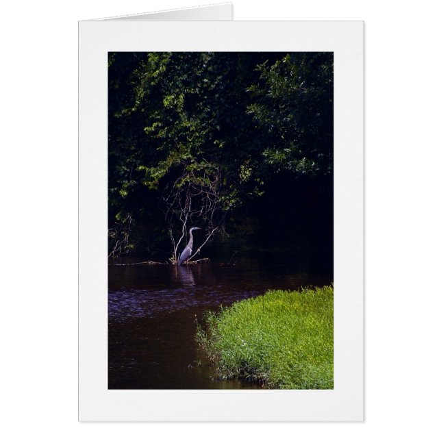 Percival's Isle, Lynchburg Virginia OBS Kort (Framsidan)