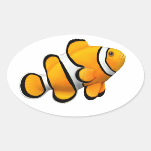 Percula Clown Anenome Fish Anpassade Sticker Ovalt Klistermärke