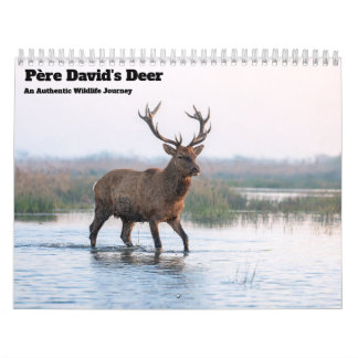 Père Davids hjort 2027 Väggkalender Kalender