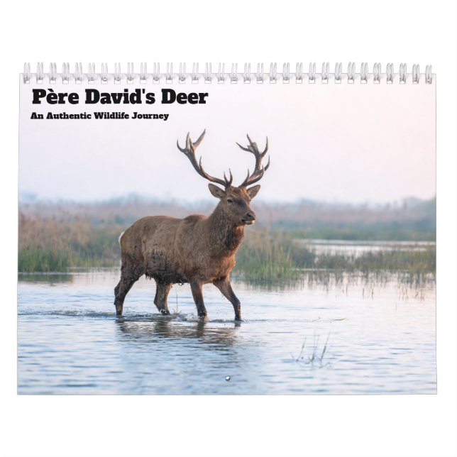Père Davids hjort 2027 Väggkalender Kalender (Omslag)