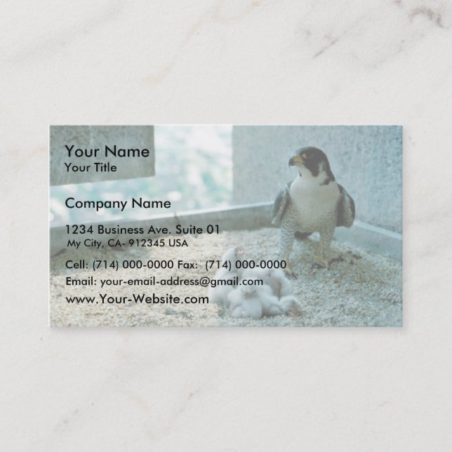 Peregrin Falcon-Chickar, hondjur Visitkort (Framsida)