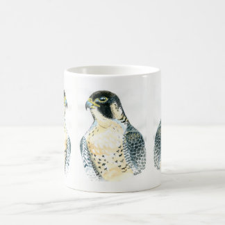 Peregrin Falconry Mugg
