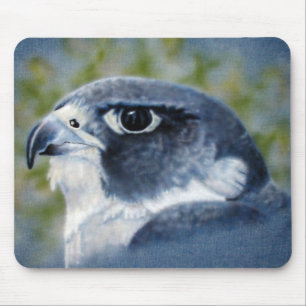 Peregrine-airbrush Musmatta