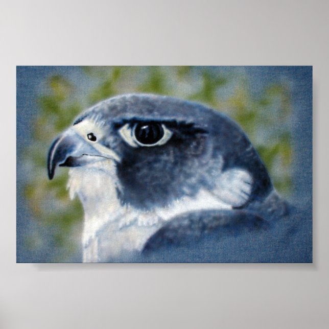 Peregrine-airbrush Poster (Framsidan)