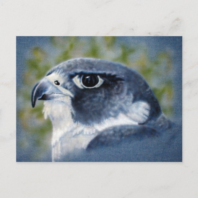Peregrine-airbrush Vykort (Framsida)