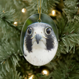 Peregrine Falcon Bird of Be Photo Julgransprydnad Keramik