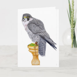 Peregrine Falcon Birthday Card Kort
