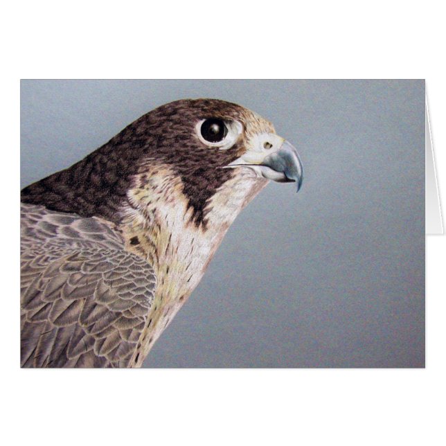 Peregrine Falcon Card Hälsningskort (Framsidan Horizontal)