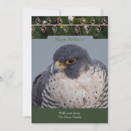 Peregrine Falcon Christmas Card by Debbie Quick Julkort