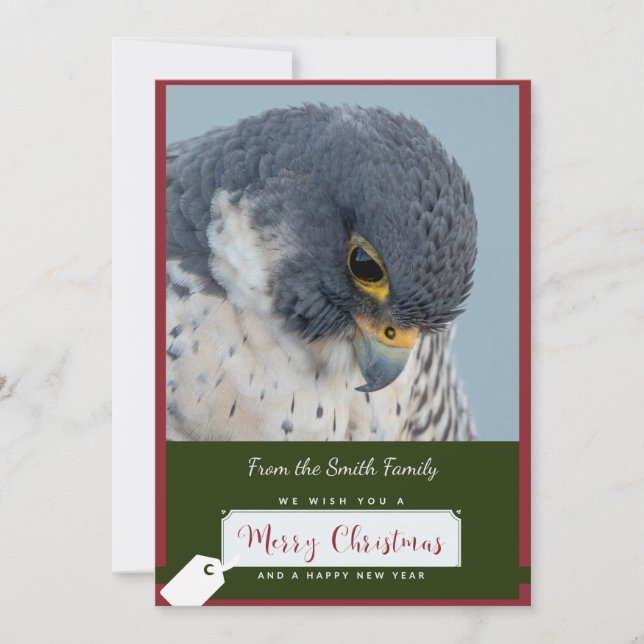 Peregrine Falcon Christmas Card by Debbie Quick Julkort (Framsida)
