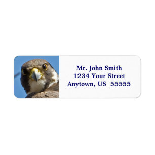 Peregrine Falcon-etikett Returadress Etikett