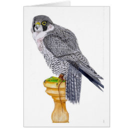 Peregrine Falcon Fars dag-kort Hälsningskort