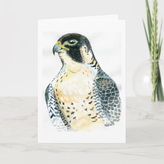 Peregrine Falcon-födelsedagskort Kort (Framsida)