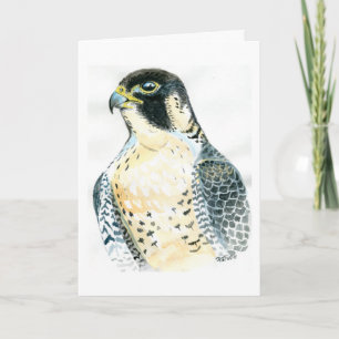 Peregrine Falcon-födelsedagskort Kort