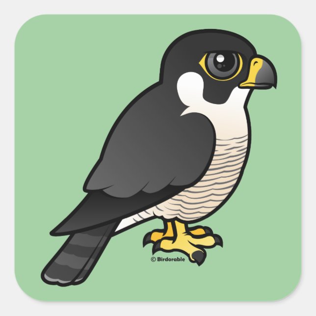 Peregrine Falcon Fyrkantigt Klistermärke (Framsida)