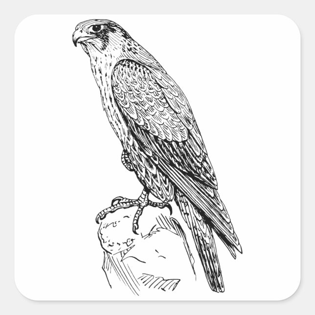 Peregrine Falcon Fyrkantigt Klistermärke (Framsida)