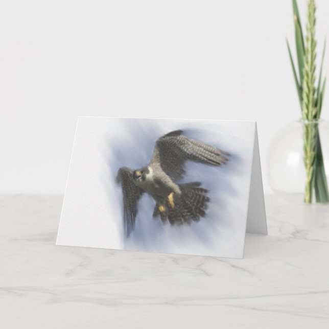 Peregrine Falcon i flygkort Kort (Framsida)