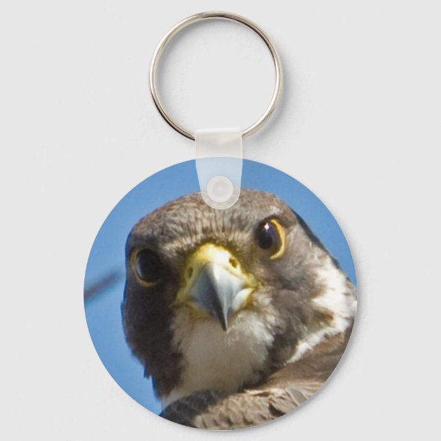 Peregrine Falcon Keychain Nyckelring (Framsida)