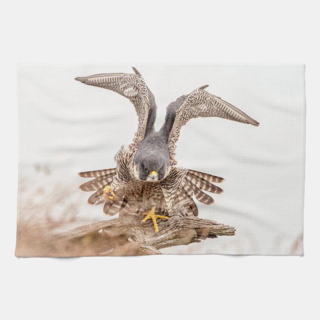 Peregrine Falcon Kökshandduk (Horisontell)