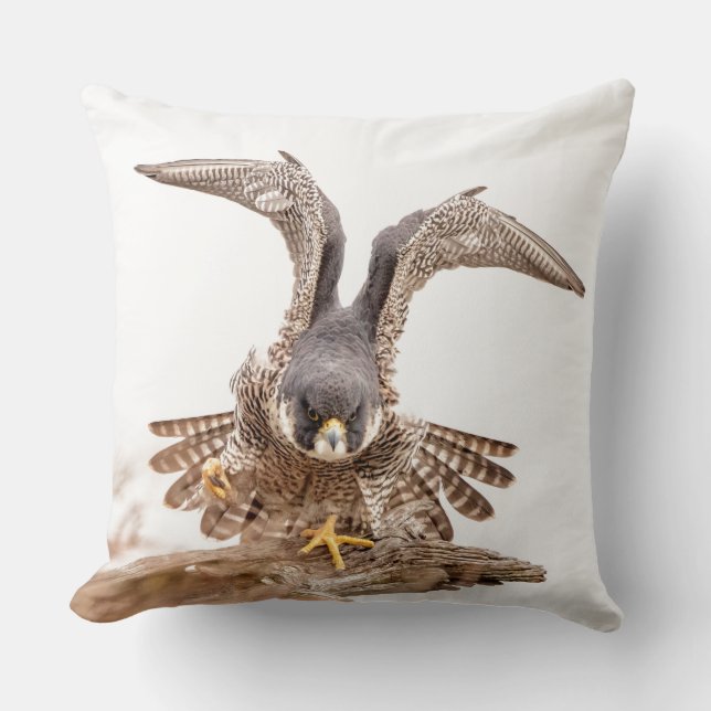 Peregrine Falcon Kudde (Framsida)