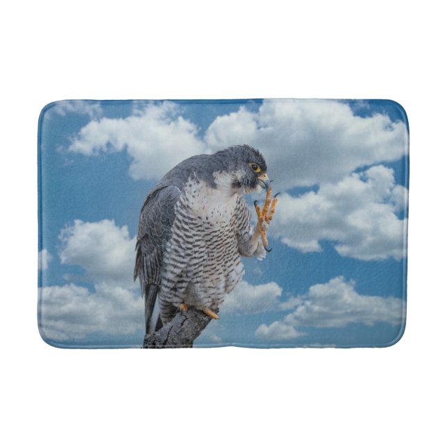 Peregrine Falcon längs Hudson River Badrumsmatta (Framsidan)
