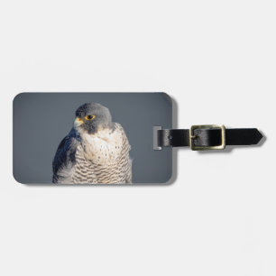 Peregrine Falcon längs Hudson River Bagagebricka