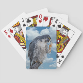 Peregrine Falcon längs Hudson River Casinokort