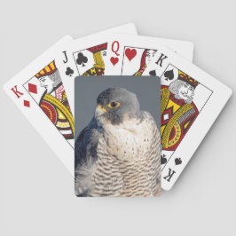 Peregrine Falcon längs Hudson River Casinokort