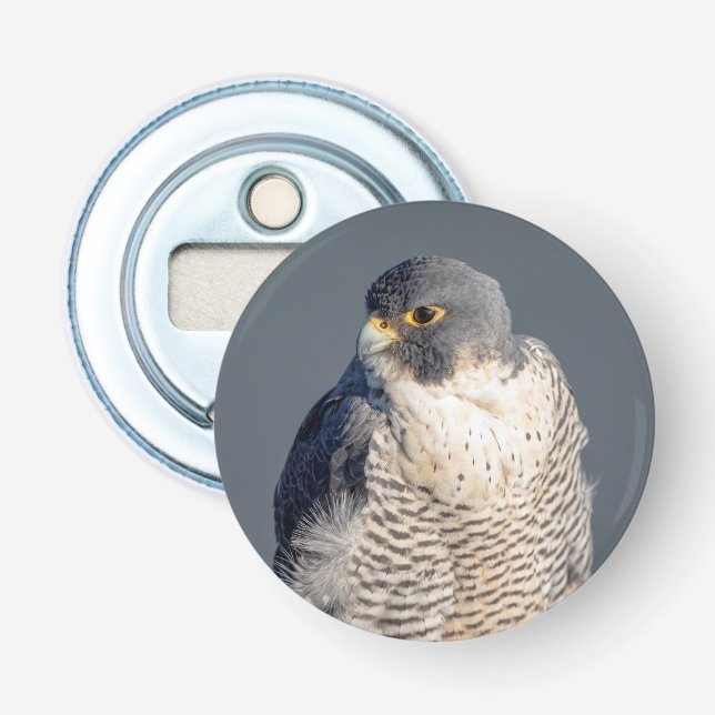Peregrine Falcon längs Hudson River Flasköppnare (Framsidan)
