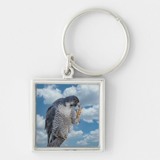 Peregrine Falcon längs Hudson River Fyrkantig Silverfärgad Nyckelring (Framsidan)
