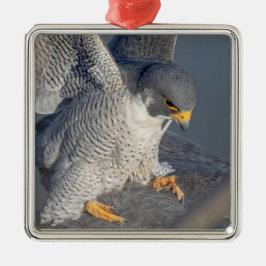 Peregrine Falcon längs Hudson River Julgransprydnad Metall