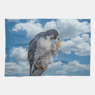 Peregrine Falcon längs Hudson River Kökshandduk