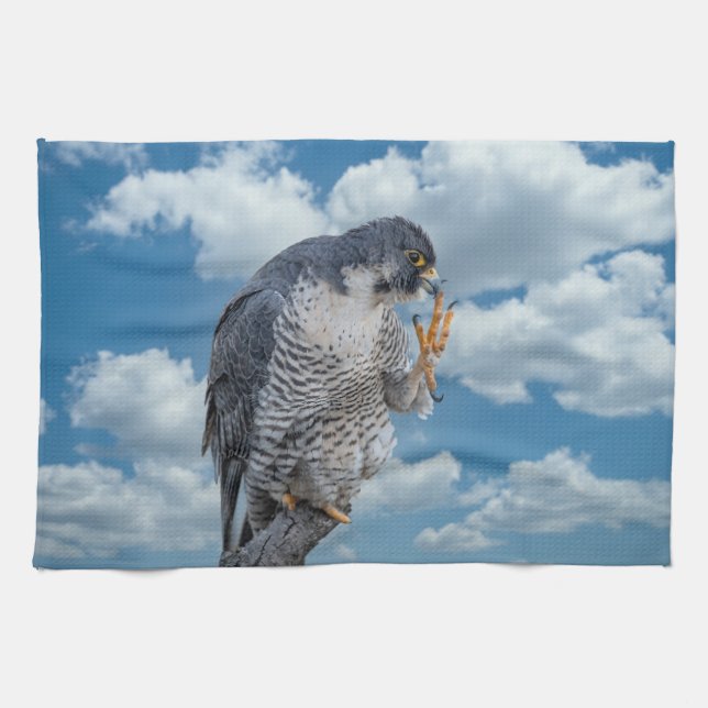 Peregrine Falcon längs Hudson River Kökshandduk (Horisontell)