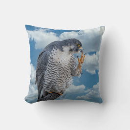 Peregrine Falcon längs Hudson River Kudde