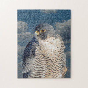 Peregrine Falcon längs Hudson River Pussel