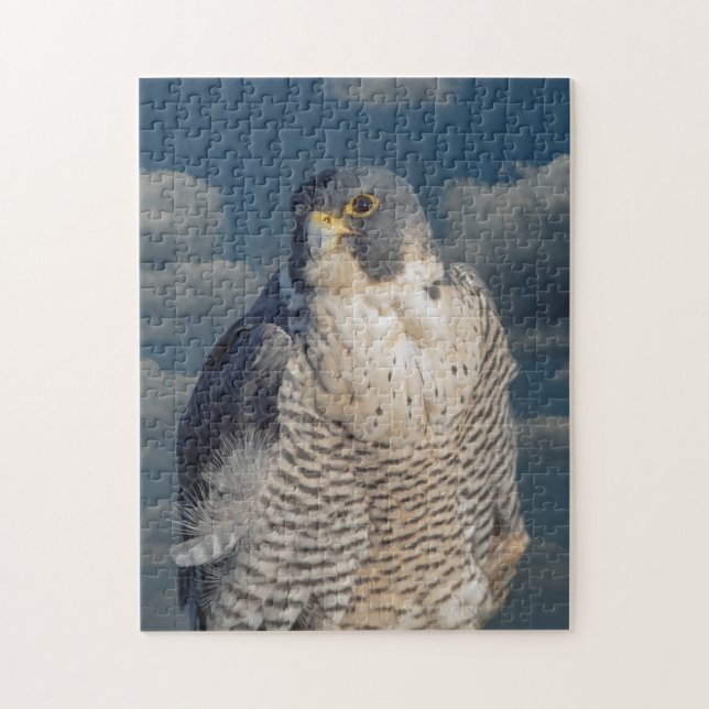 Peregrine Falcon längs Hudson River Pussel (Vertikal)