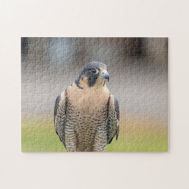 Peregrine Falcon längs Hudson River Pussel (Horisontell)