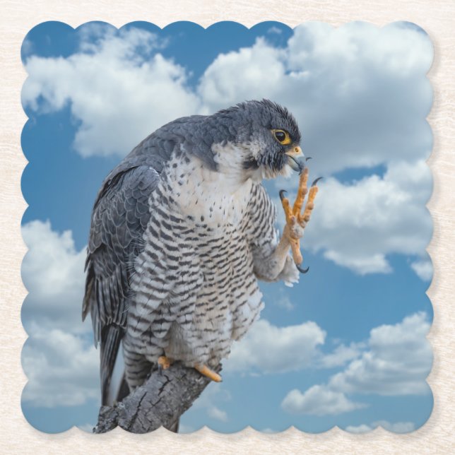 Peregrine Falcon längs Hudson River Underlägg Papper (Framsida)