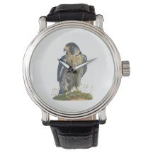 Peregrine Falcon Leather strappur watch