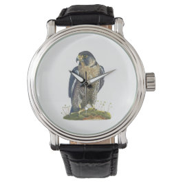 Peregrine Falcon Leather strappur watch Armbandsur