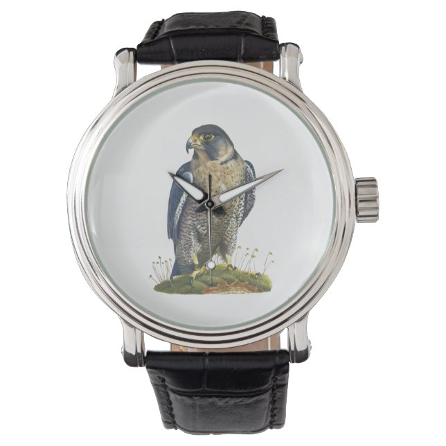 Peregrine Falcon Leather strappur watch Armbandsur (Framsida)